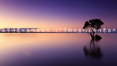 ​五字诗意女生网名古风（5个字的女生网名有诗意古风）