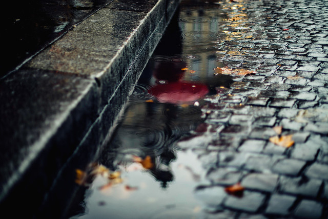 下雨天的心情经典句子 下雨感慨说说心情