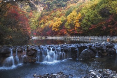 ​白岩松名言哲理 白岩松经典语录及感悟