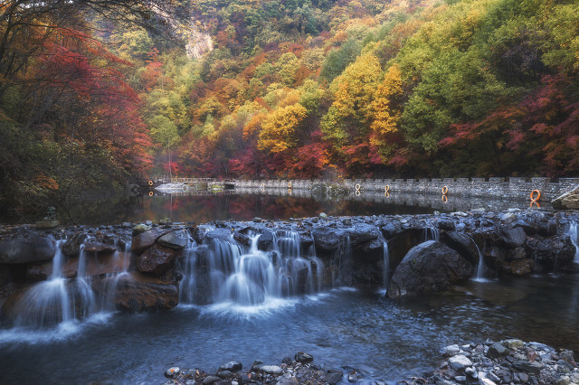 白岩松名言哲理 白岩松经典语录及感悟