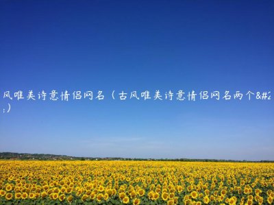 ​古风唯美诗意情侣网名（古风唯美诗意情侣网名两个字）