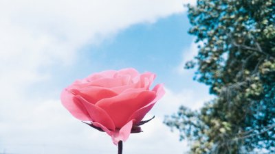 ​情人节简短祝福语 情人浪漫祝福语大全