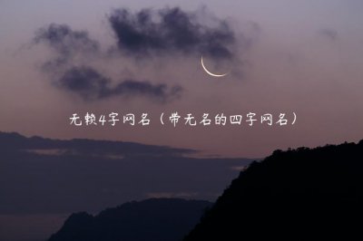 ​无赖4字网名（带无名的四字网名）