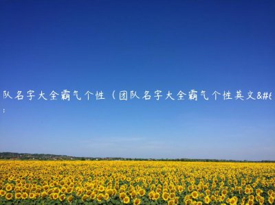 ​团队名字大全霸气个性（团队名字大全霸气个性英文）