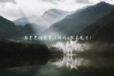 有意思的名字（游戏id取名鬼才）