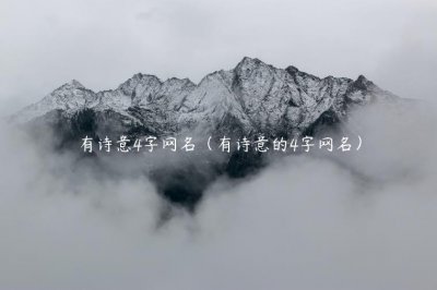 ​有诗意4字网名（有诗意的4字网名）