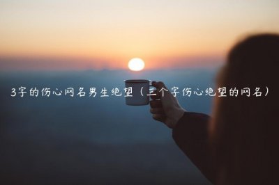 ​3字的伤心网名男生绝望（三个字伤心绝望的网名）