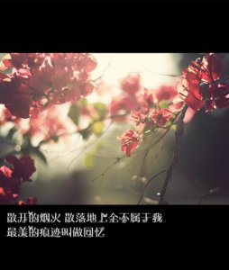 ​大学毕业祝福语恶搞(学生毕业寄语幽默调侃)